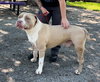 Jax - Photo 2