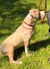 Jax - Photo 3