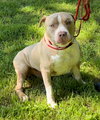 Jax - Photo 4
