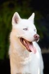 Morris - Photo 2