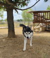 Moon - Photo 5