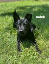 Kaleb - Photo 5