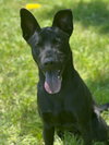 Kaleb - Photo 6