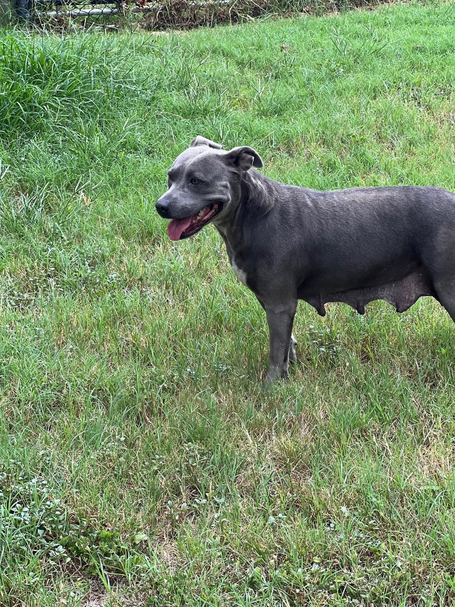 Sugar (Stormy)