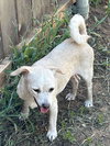 Lola - Photo 2