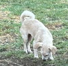 Lola - Photo 3