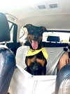 Ruby - Photo 3