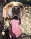 Deuce - Photo 6