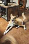 Zoey - Photo 9