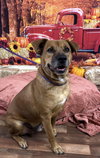 Spike - Photo 5