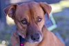 Spike - Photo 3
