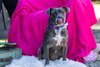 Critter - Photo 2