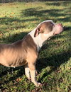 Sheila - Photo 3