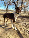 Marty - Photo 2