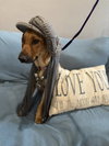 Juliett - Photo 3
