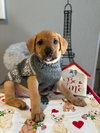 Smitten - Photo 2