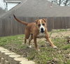 Ashlynn - Photo 6