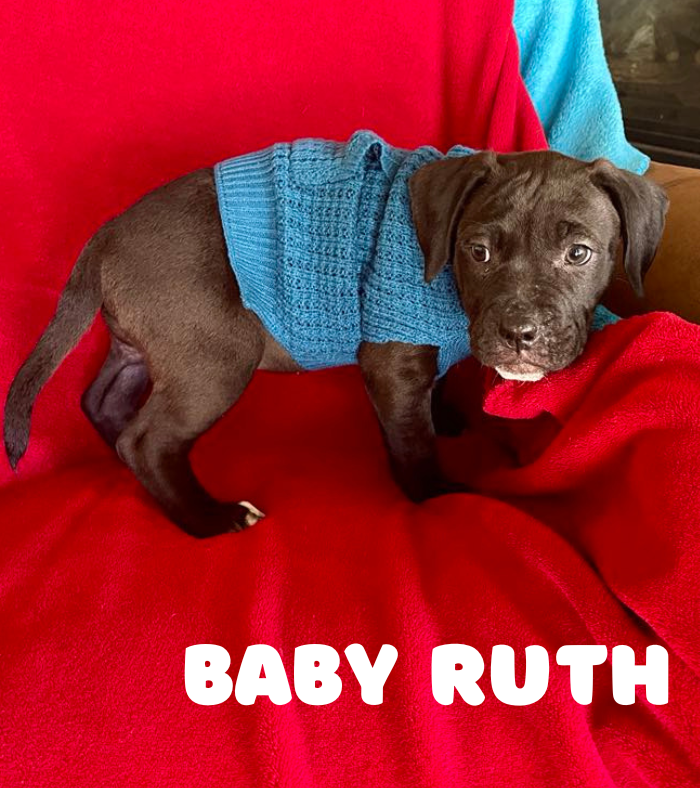 Baby Ruth