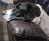 Kramer - Photo 2