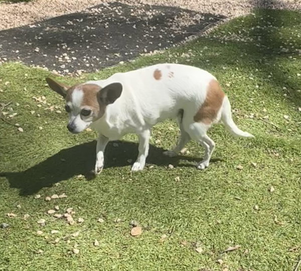Gabby