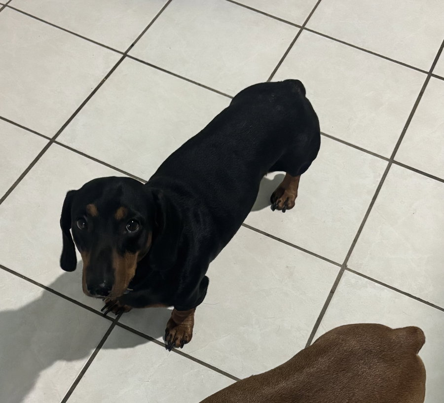 Leroy