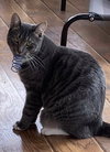 Twix - Photo 1