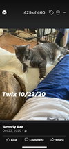 Twix - Photo 2