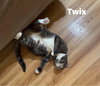 Twix - Photo 3