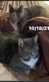 Twix - Photo 4