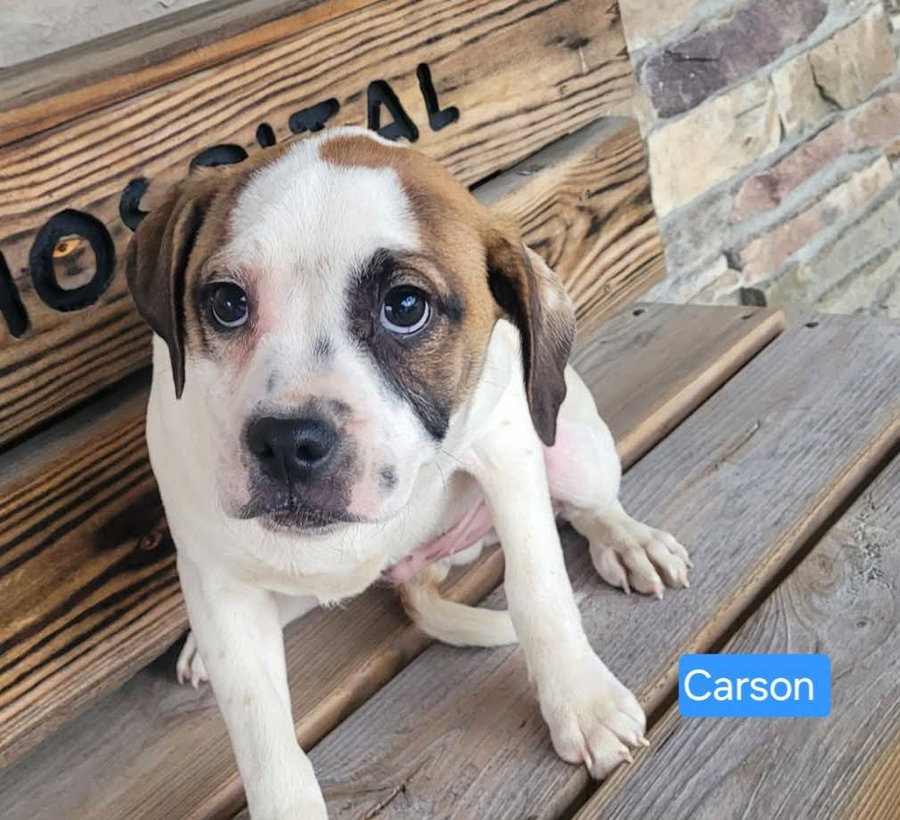 CARSON