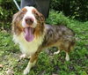 CALYPSO - Photo 1
