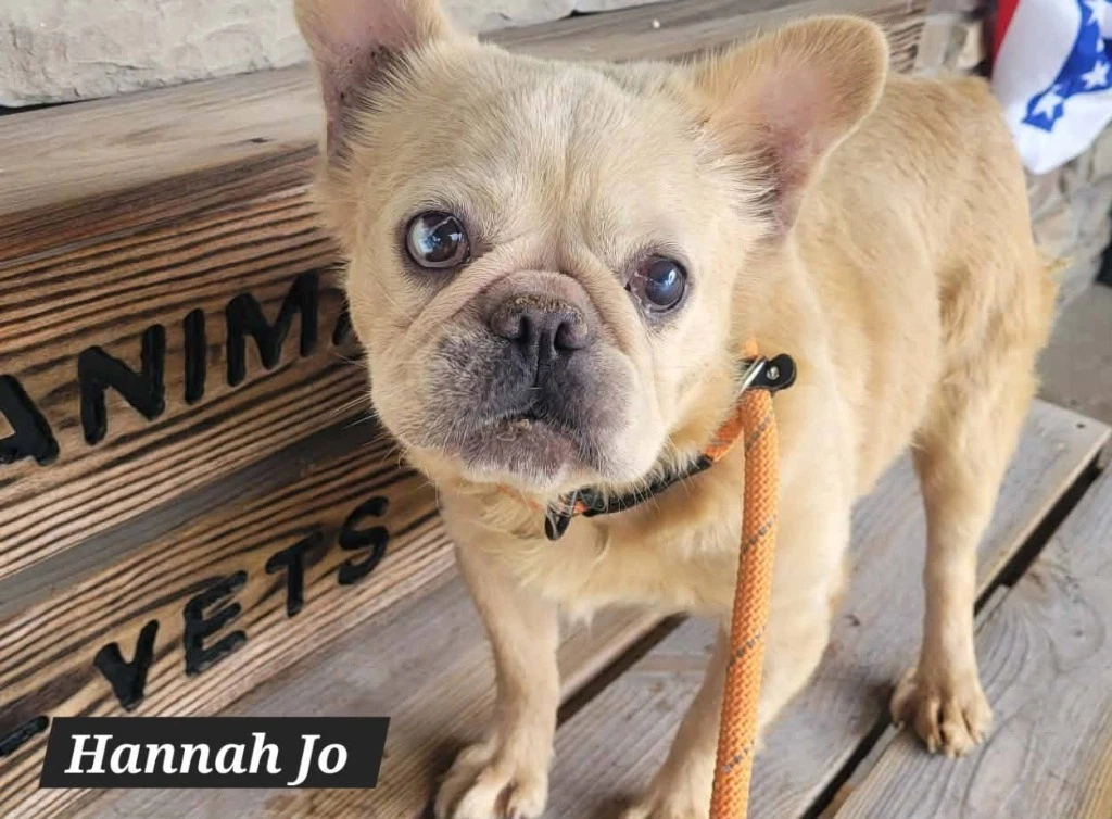 Hannah Jo