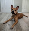 Lucy - Photo 9