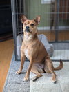 Lucy - Photo 6