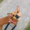 Lucy - Photo 7