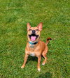 Lucy - Photo 5