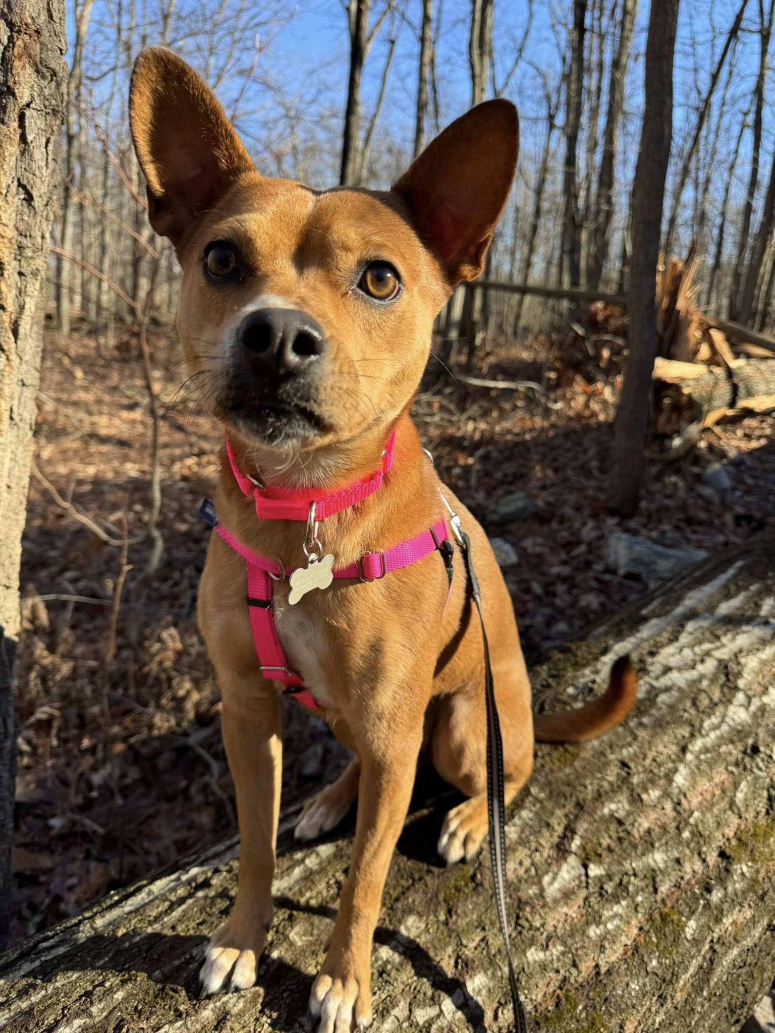 Lucy