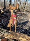 Lucy - Photo 3