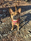 Lucy - Photo 4