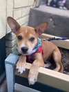 Lucy - Photo 22