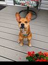 Lucy - Photo 20