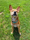 Lucy - Photo 21