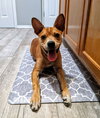 Lucy - Photo 23