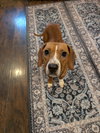 Holly Dae - Photo 8