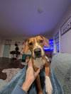Holly Dae - Photo 6