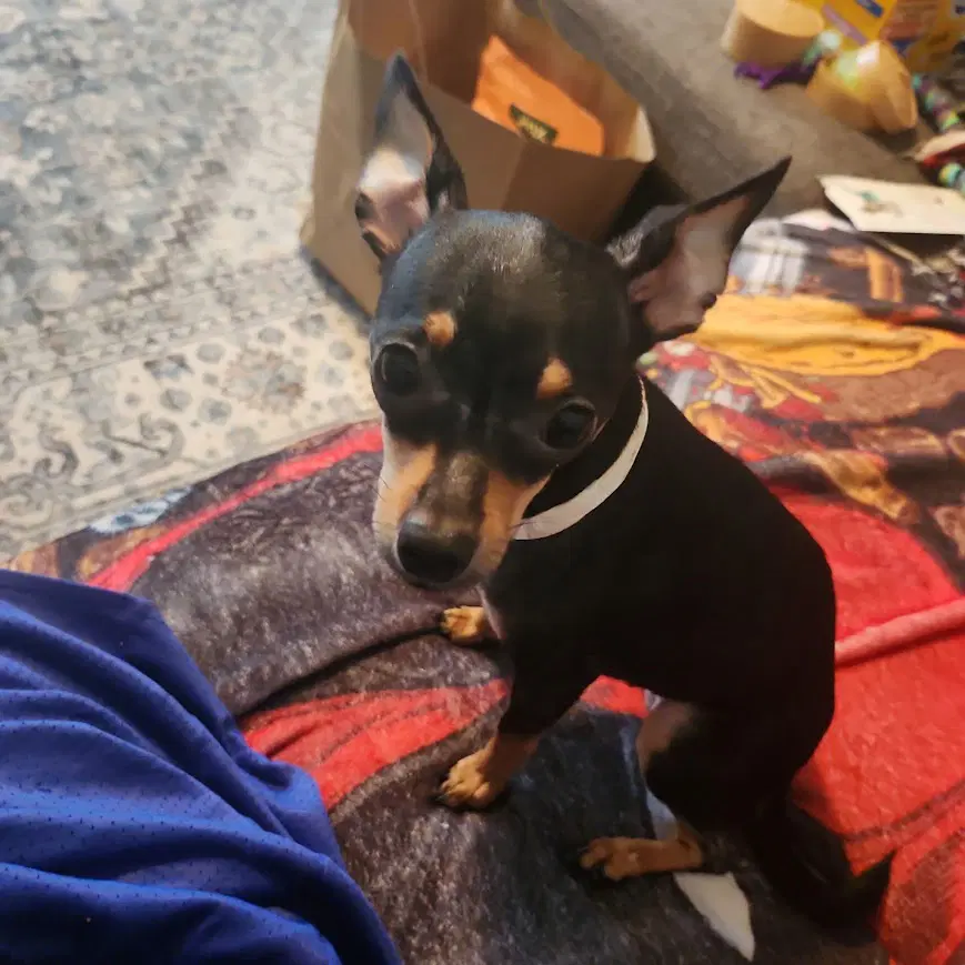 March - Chihuahua