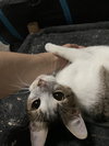 Valentina - Photo 2