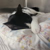 Photo 3 of Winnie
