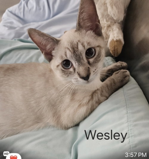 Wesley