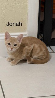 Photo 2 of Jonah